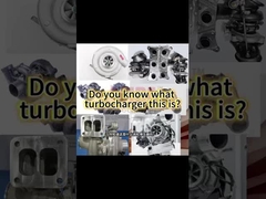 Pour les véhicules à moteur simple